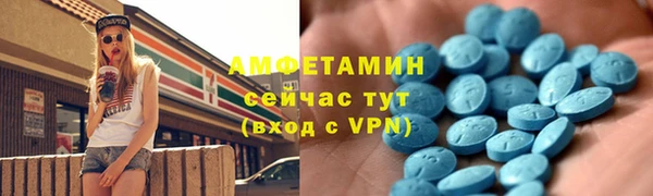 сатива Аркадак