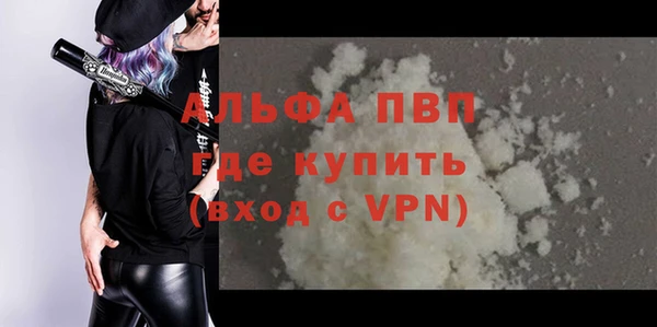 сатива Аркадак