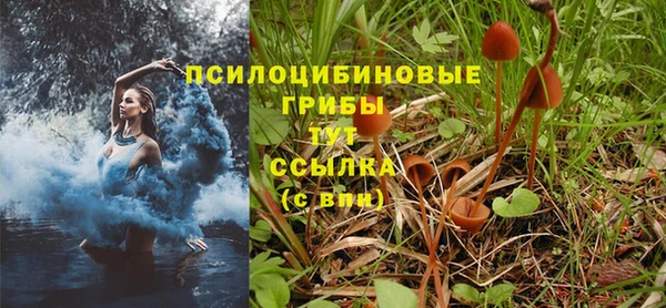 бошки Арсеньев