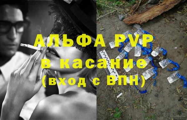 сатива Аркадак