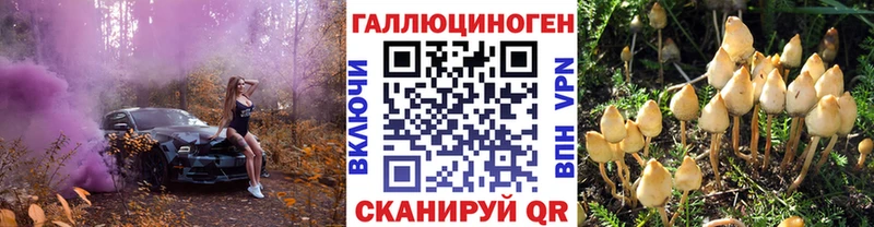 Галлюциногенные грибы GOLDEN TEACHER  ОМГ ОМГ как зайти  Тетюши  продажа наркотиков 